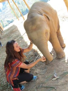 Thaïlande-éléphants